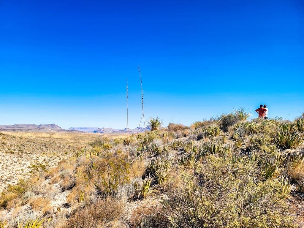 40 acres in Brewster County - photo 8