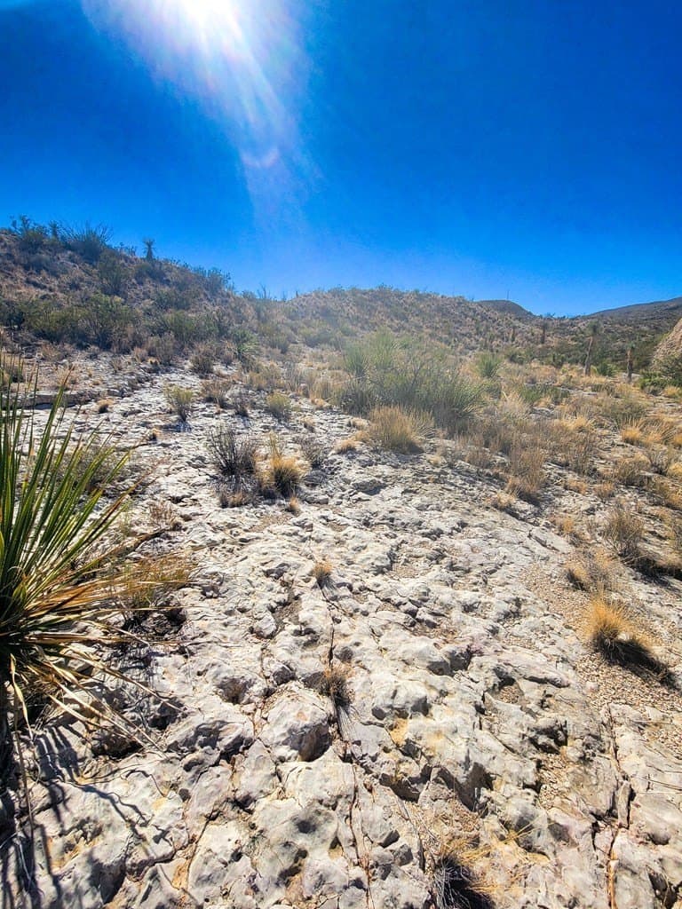 40 acres in Brewster County - photo 28