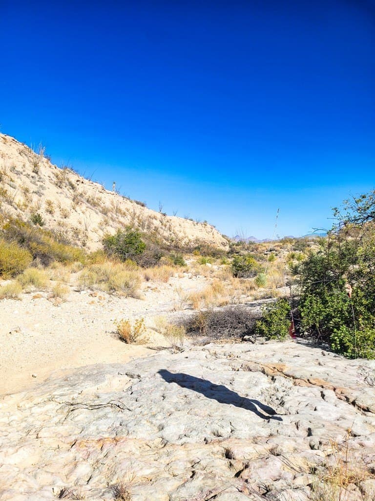 40 acres in Brewster County - photo 42