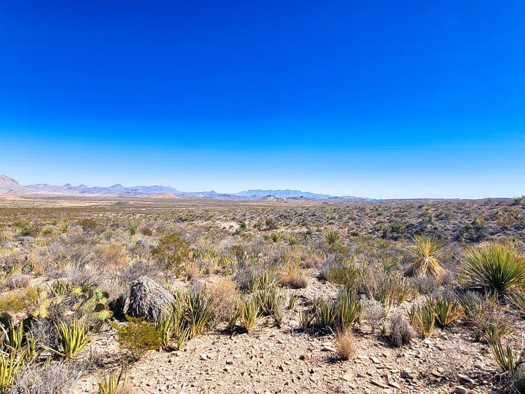 40 acres in Brewster County - photo 21