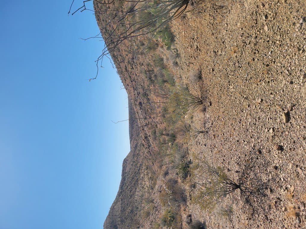 40 acres in Brewster County - photo 45