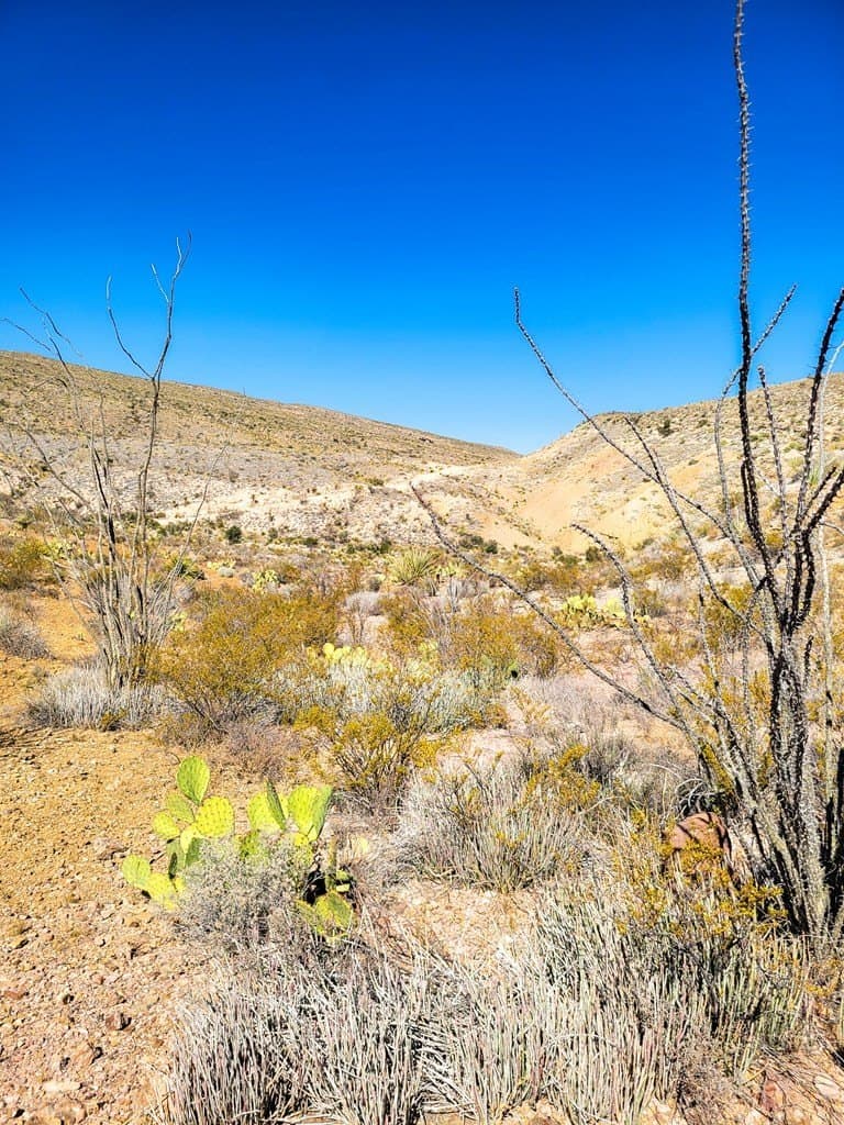 40 acres in Brewster County gallery image 3