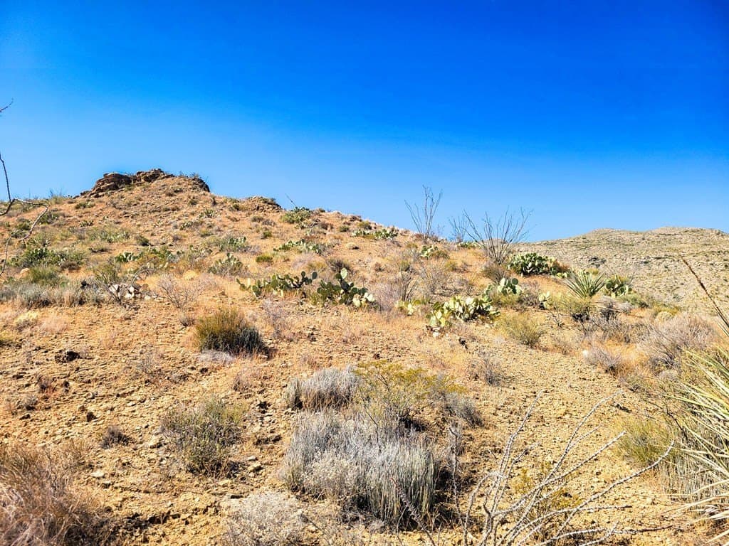 40 acres in Brewster County gallery image 4