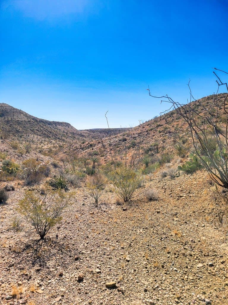 40 acres in Brewster County featured view
