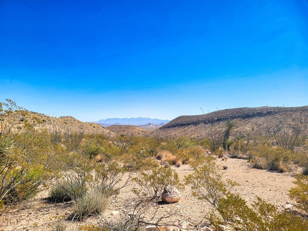 40 acres in Brewster County - photo 16