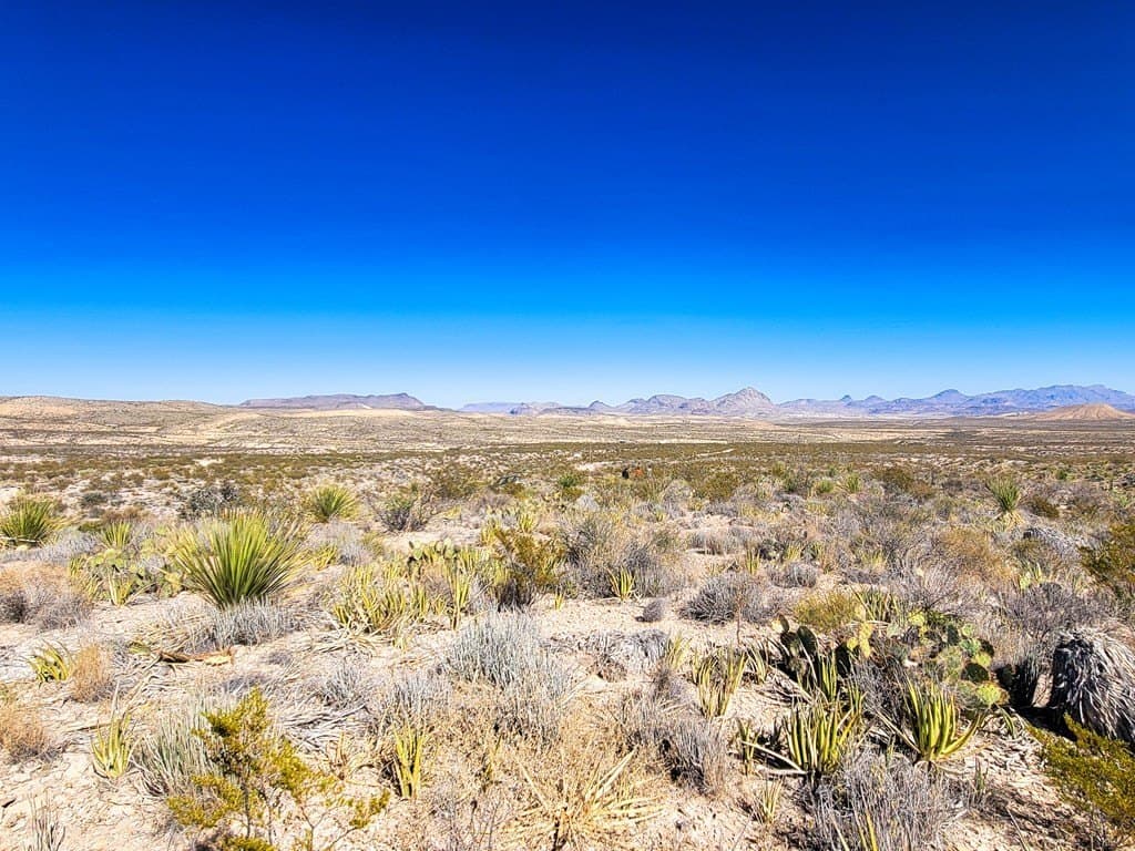40 acres in Brewster County - photo 20