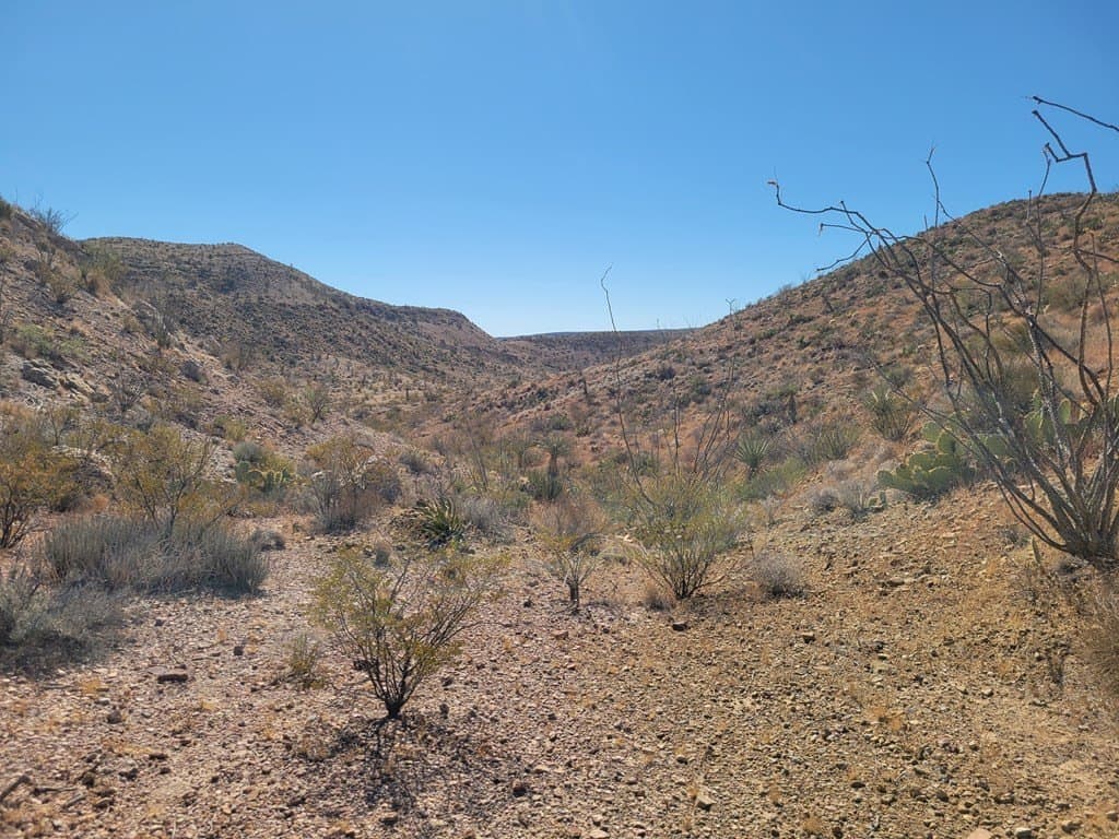 40 acres in Brewster County - photo 46