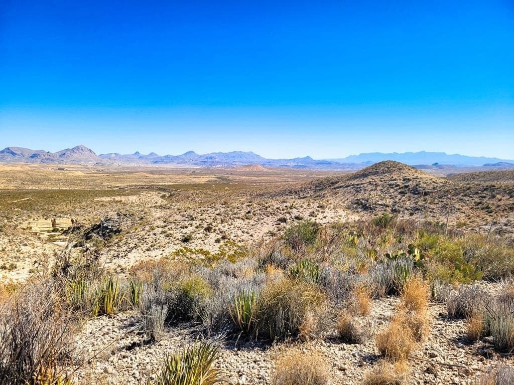 40 acres in Brewster County