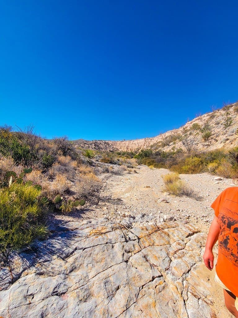 40 acres in Brewster County - photo 33