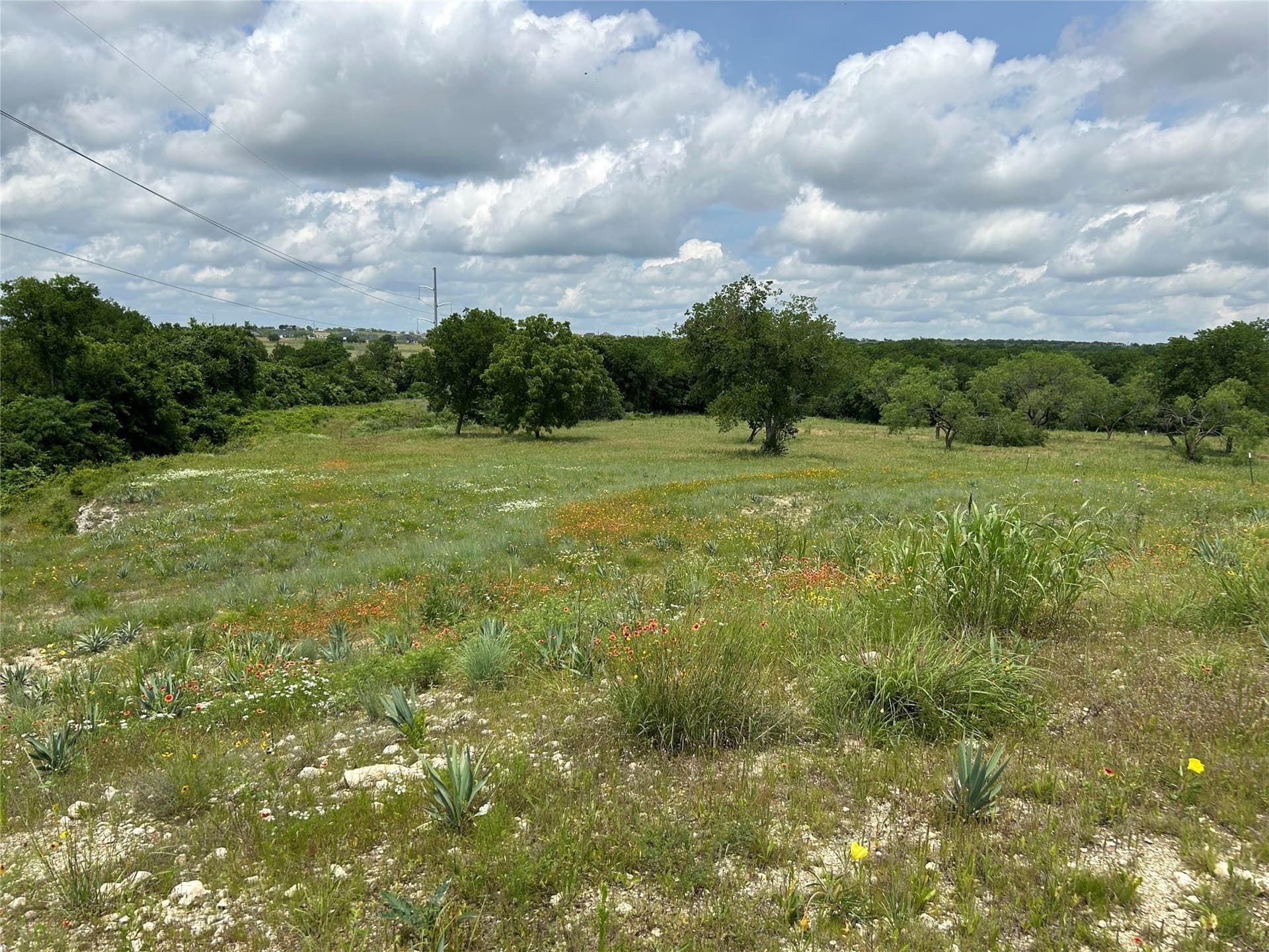 4.23 acres in Parker County - photo 3
