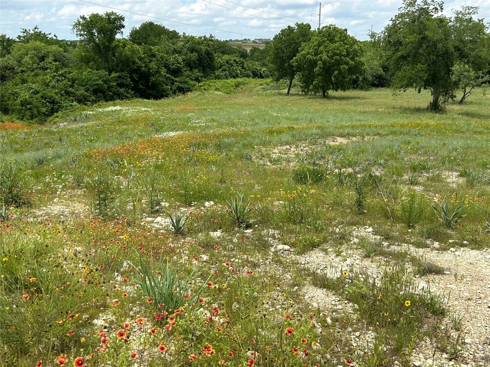 4.23 acres in Parker County