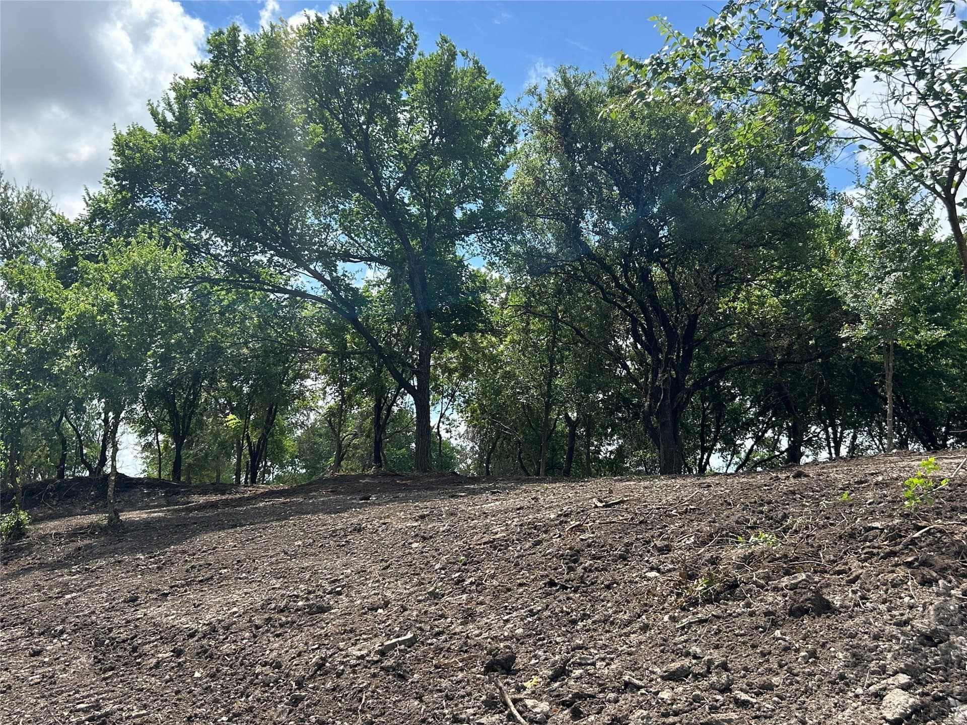 4.23 acres in Parker County - photo 25