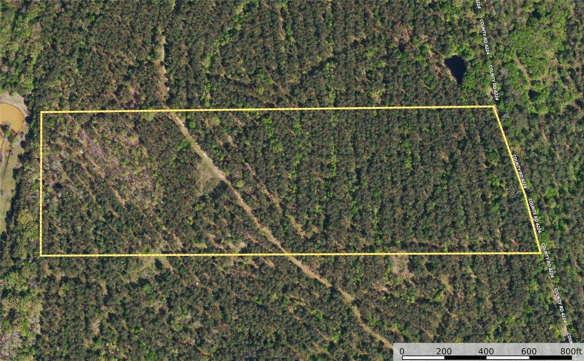 35 acres in Henderson County - photo 9