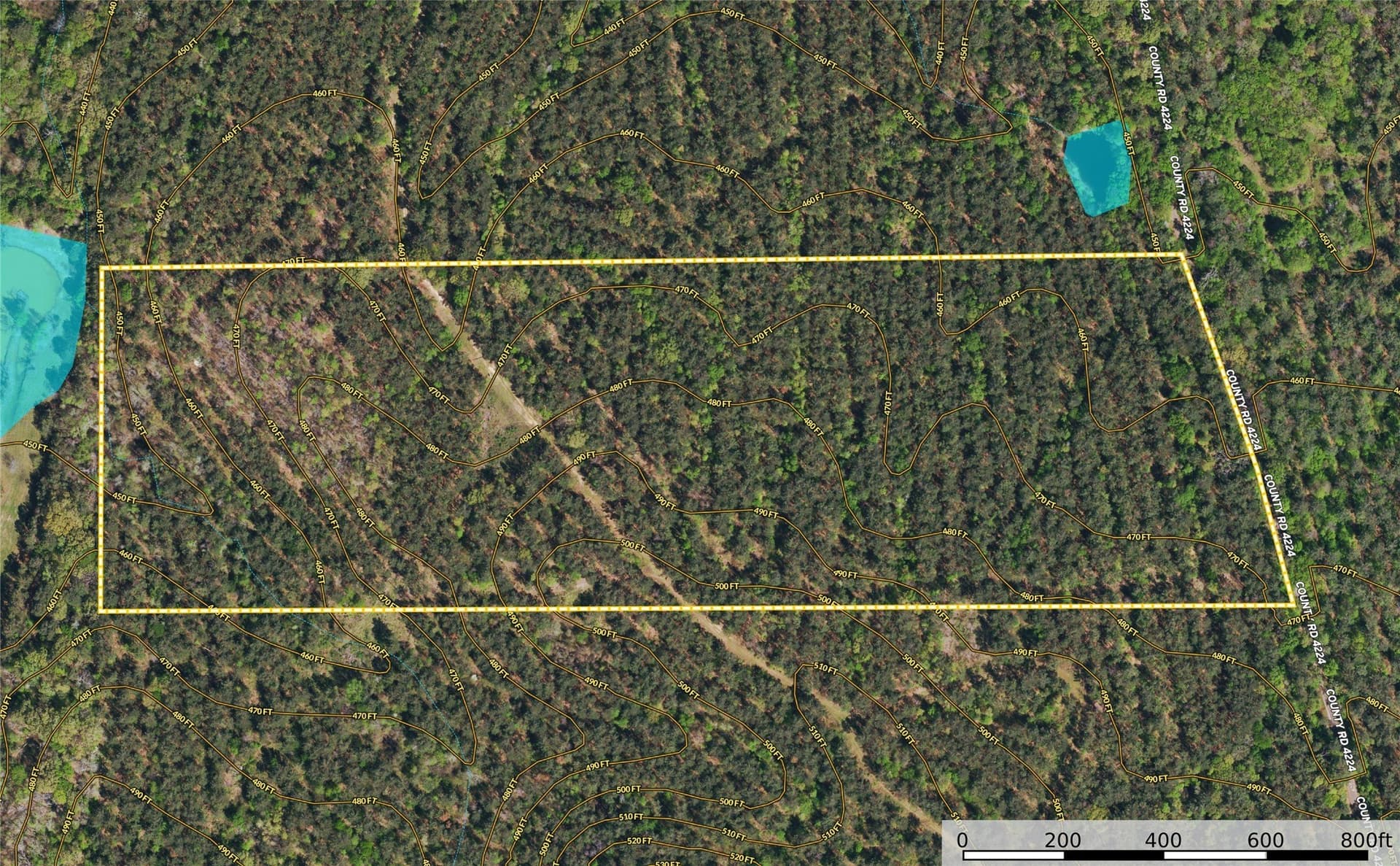 35 acres in Henderson County - photo 10