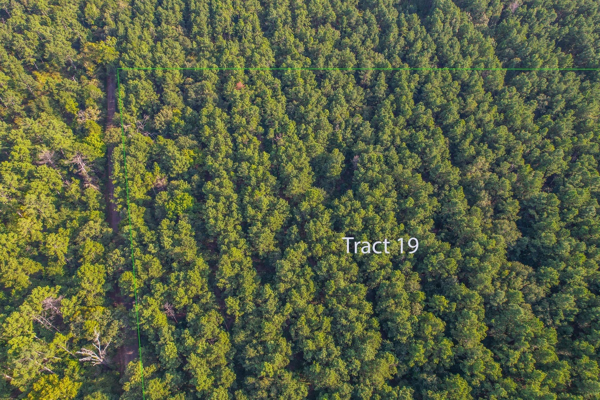 35 acres in Henderson County