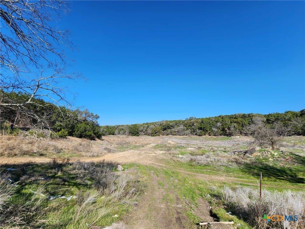 4.1 acres in Comal County gallery image 2