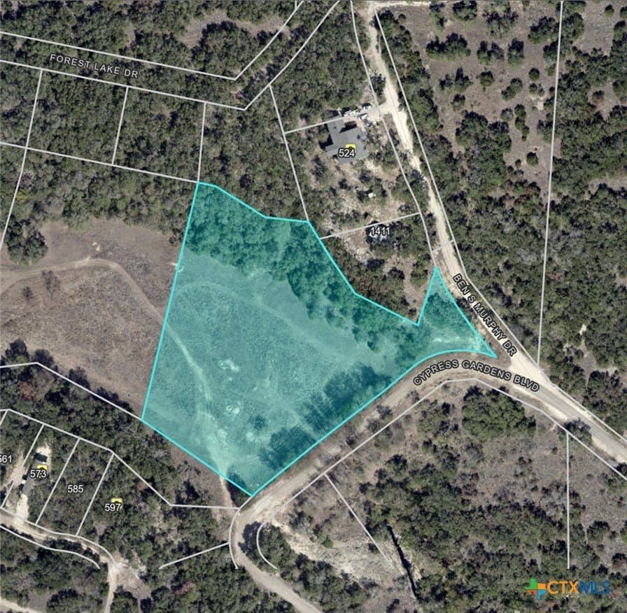 4.1 acres in Comal County - photo 12