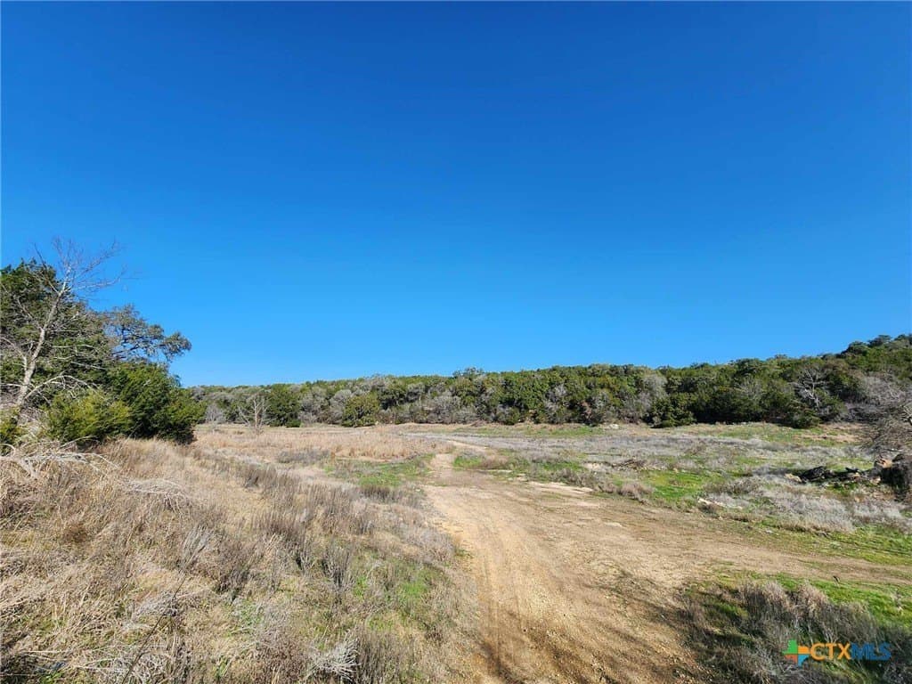 4.1 acres in Comal County gallery image 3