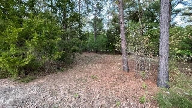 0.11 acres in Franklin (TX) County - photo 2