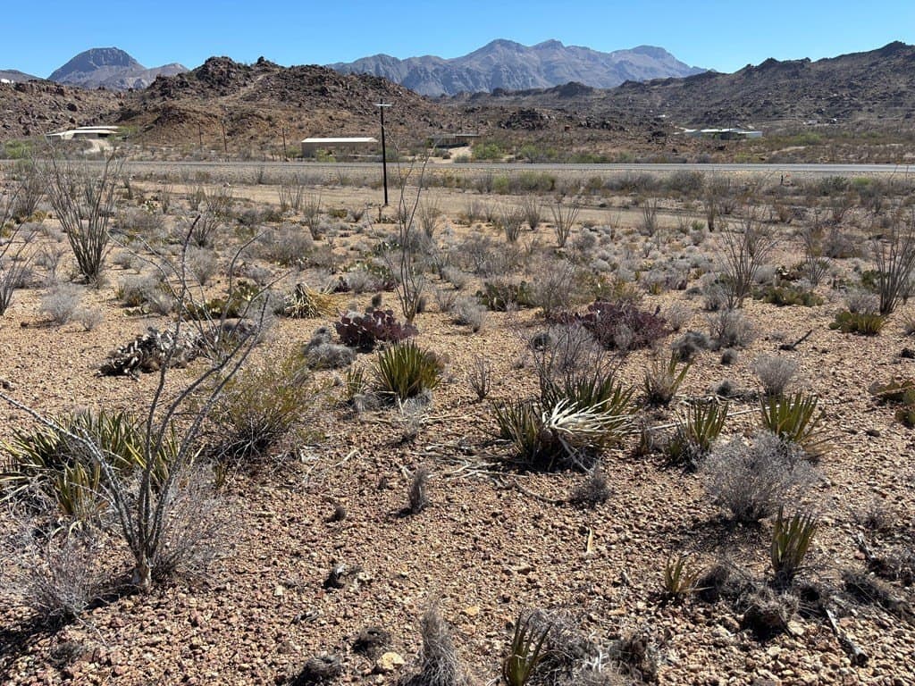 12.88 acres in Brewster County - photo 17