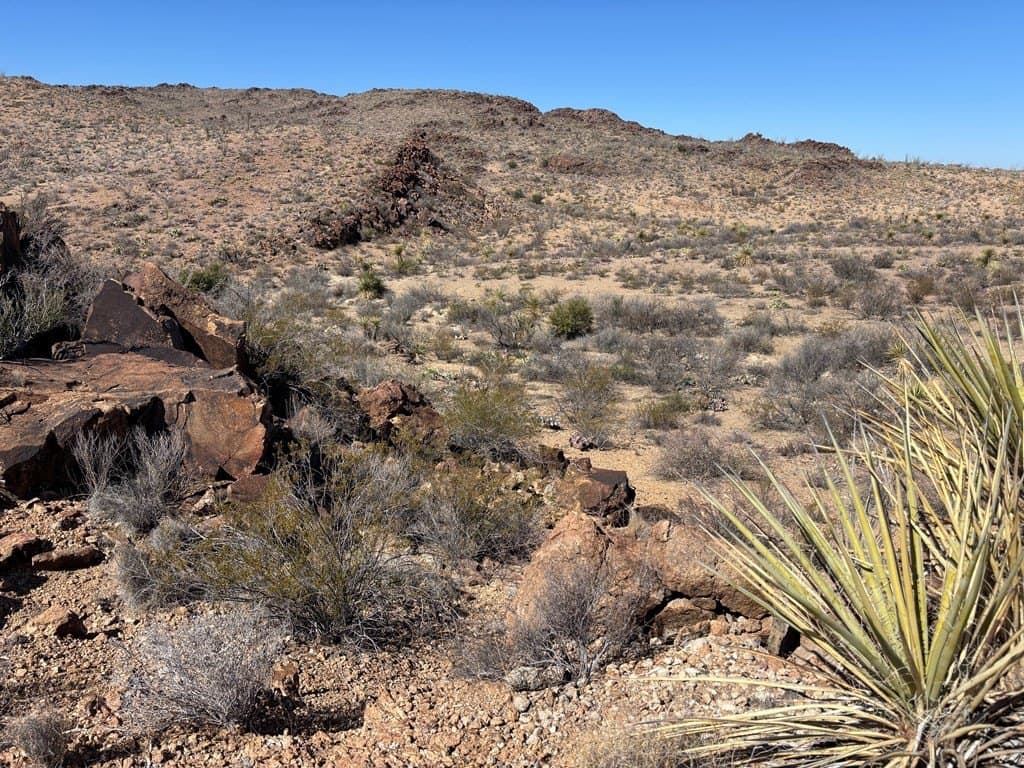 12.88 acres in Brewster County - photo 16
