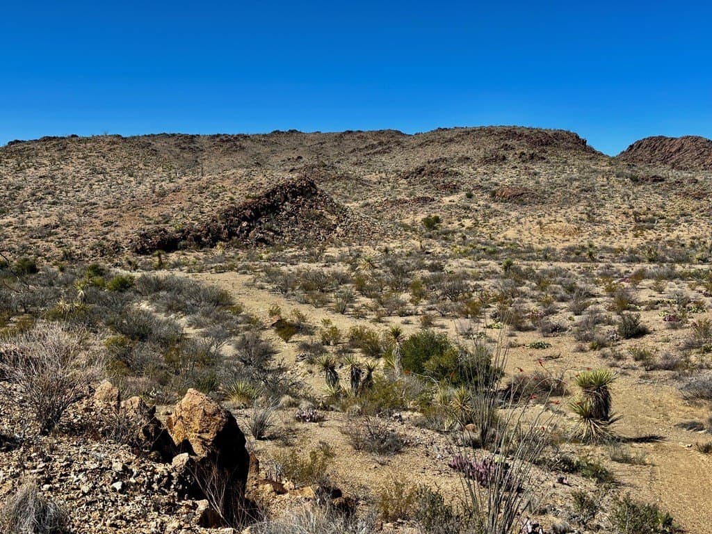 12.88 acres in Brewster County - photo 8