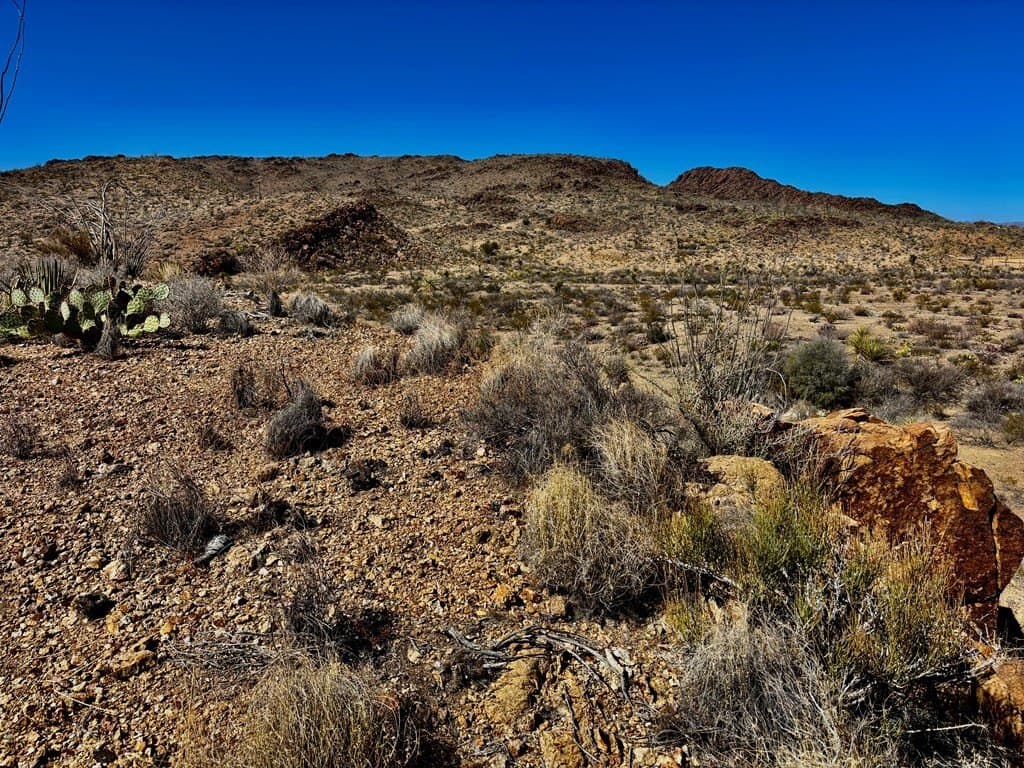 12.88 acres in Brewster County - photo 10