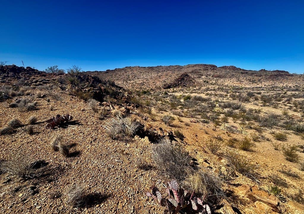 12.88 acres in Brewster County - photo 12