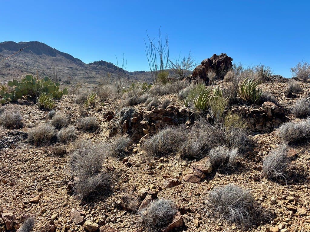 12.88 acres in Brewster County gallery image 2