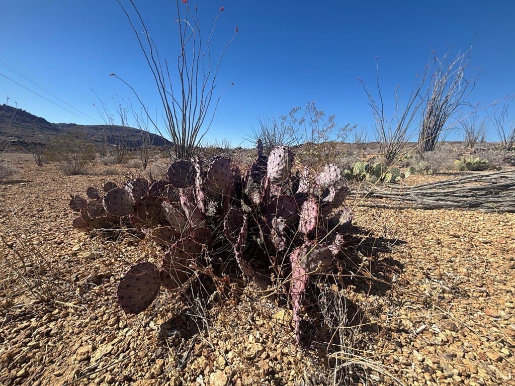 12.88 acres in Brewster County - photo 22