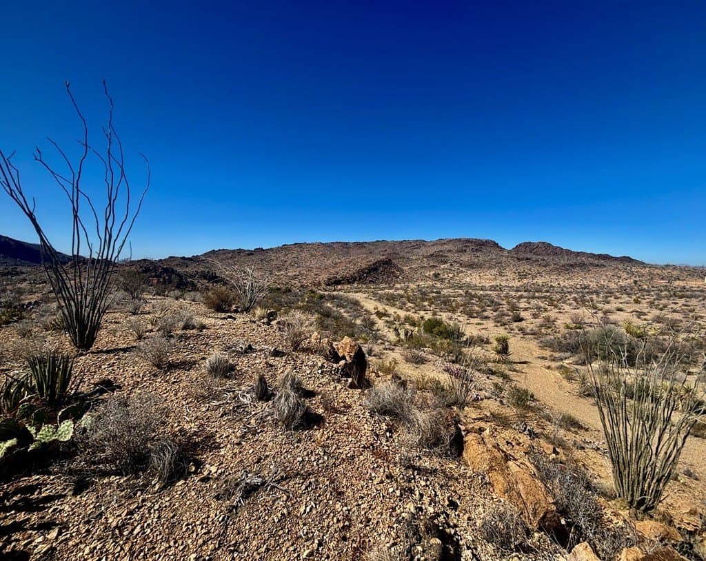 12.88 acres in Brewster County - photo 9