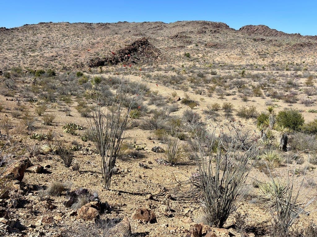 12.88 acres in Brewster County - photo 7