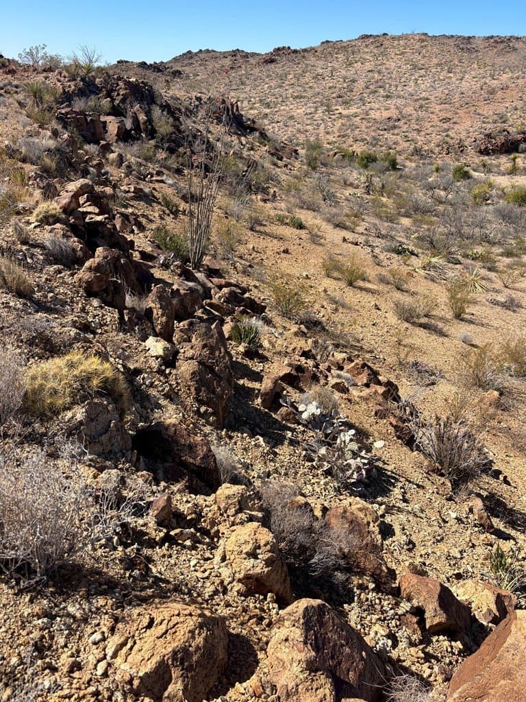 12.88 acres in Brewster County - photo 6