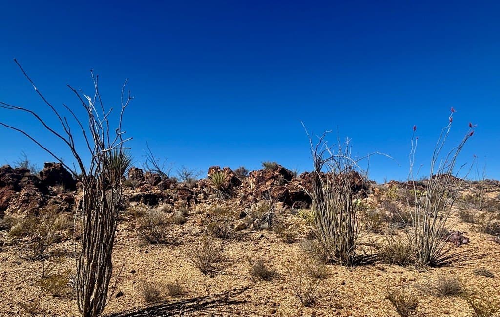 12.88 acres in Brewster County - photo 18