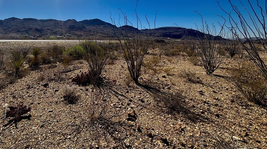 12.88 acres in Brewster County - photo 21