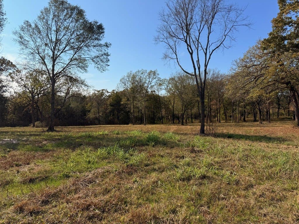 5.66 acres in Henderson County featured view