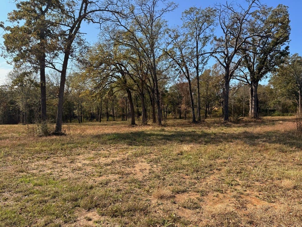5.66 acres in Henderson County gallery image 4