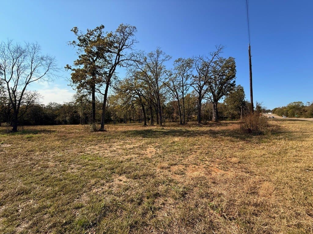 5.66 acres in Henderson County gallery image 3