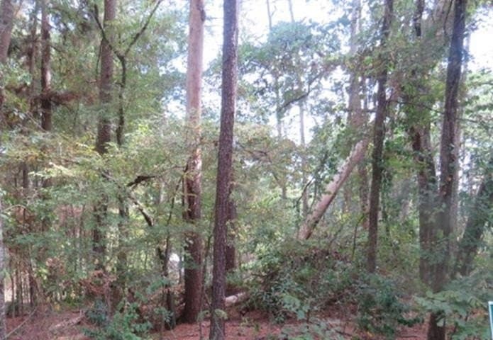 0.11 acres in Smith County - photo 4
