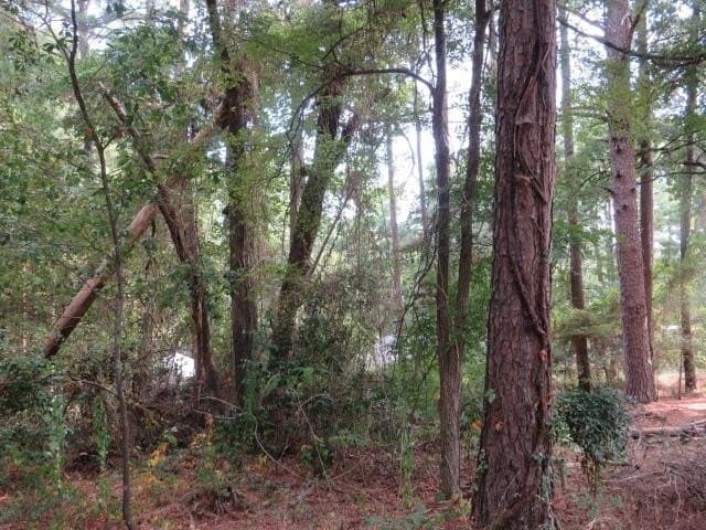0.11 acres in Smith County - photo 5