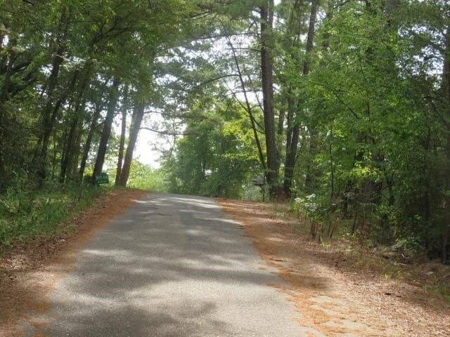 0.11 acres in Smith County - photo 3