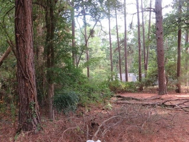 0.11 acres in Smith County - photo 6