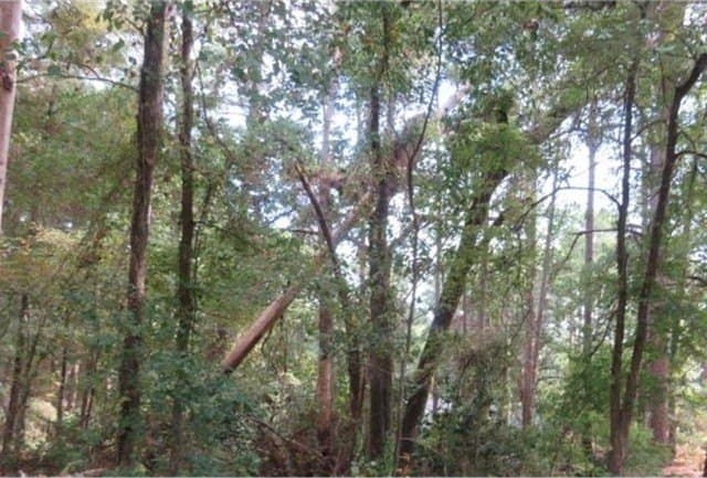 0.11 acres in Smith County - photo 7