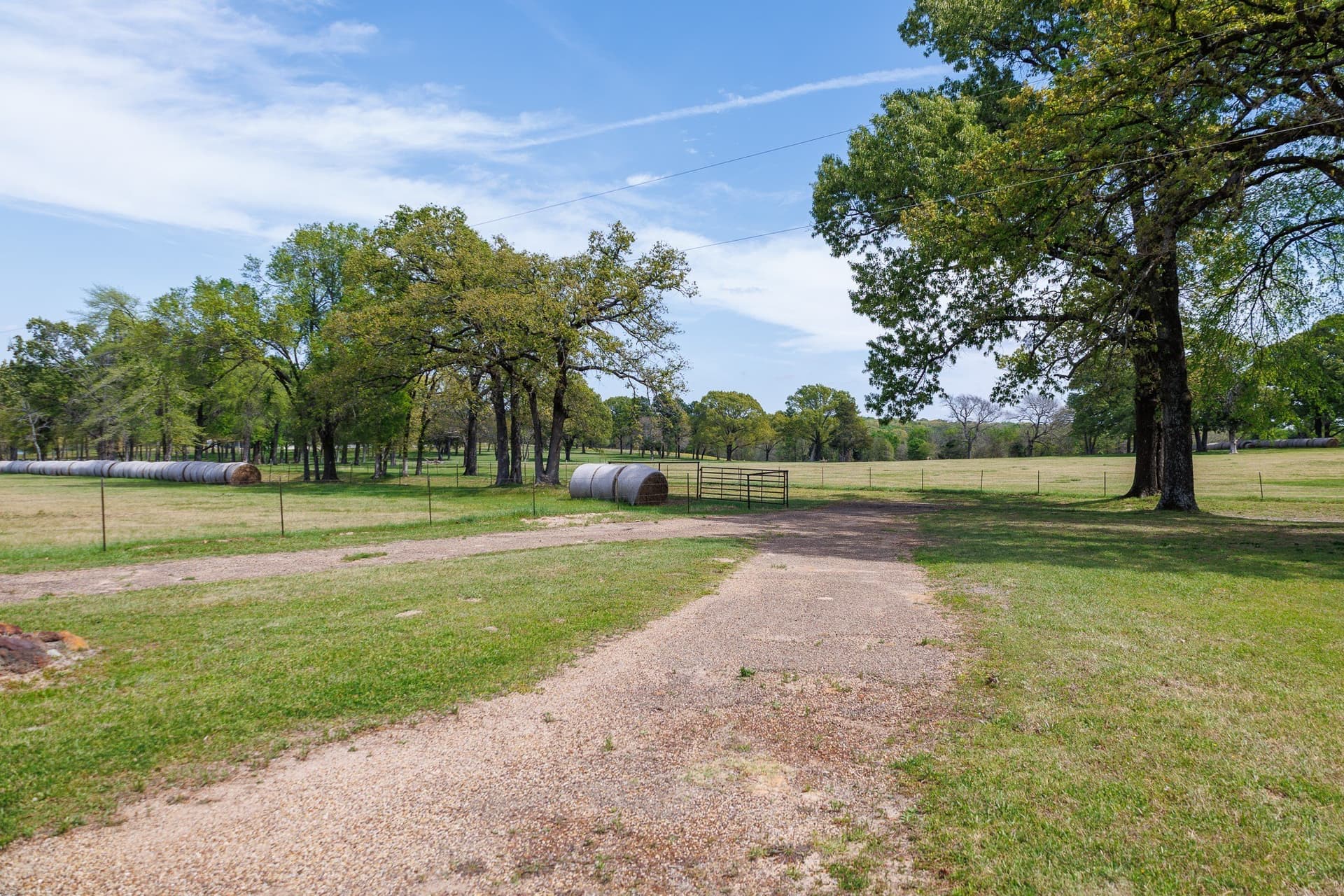 76.56 acres in Van Zandt County gallery image 3