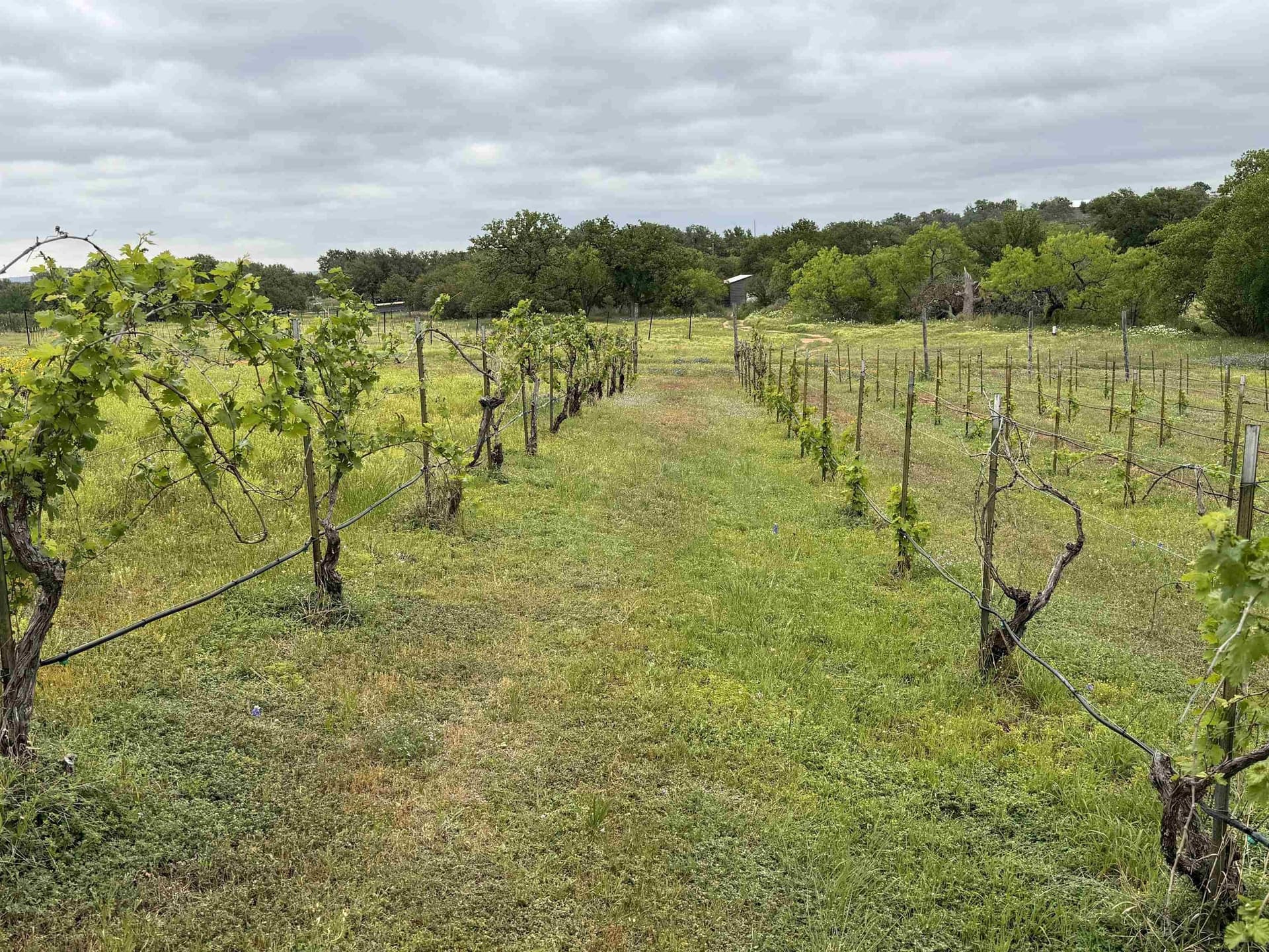 10.24 acres in Llano County - photo 31