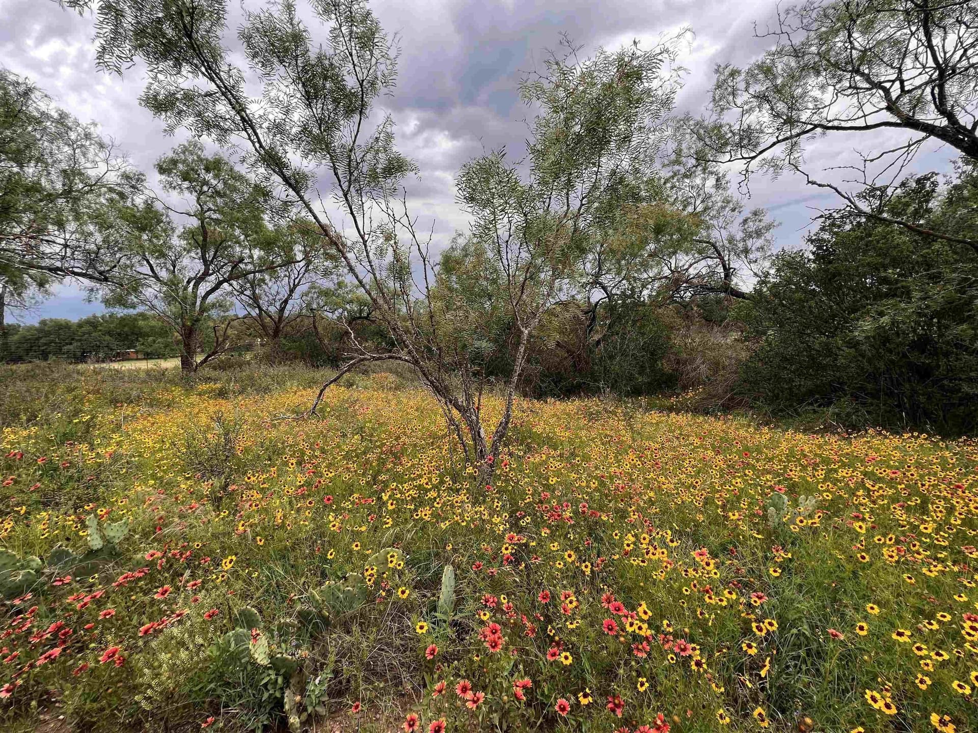 10.24 acres in Llano County - photo 39