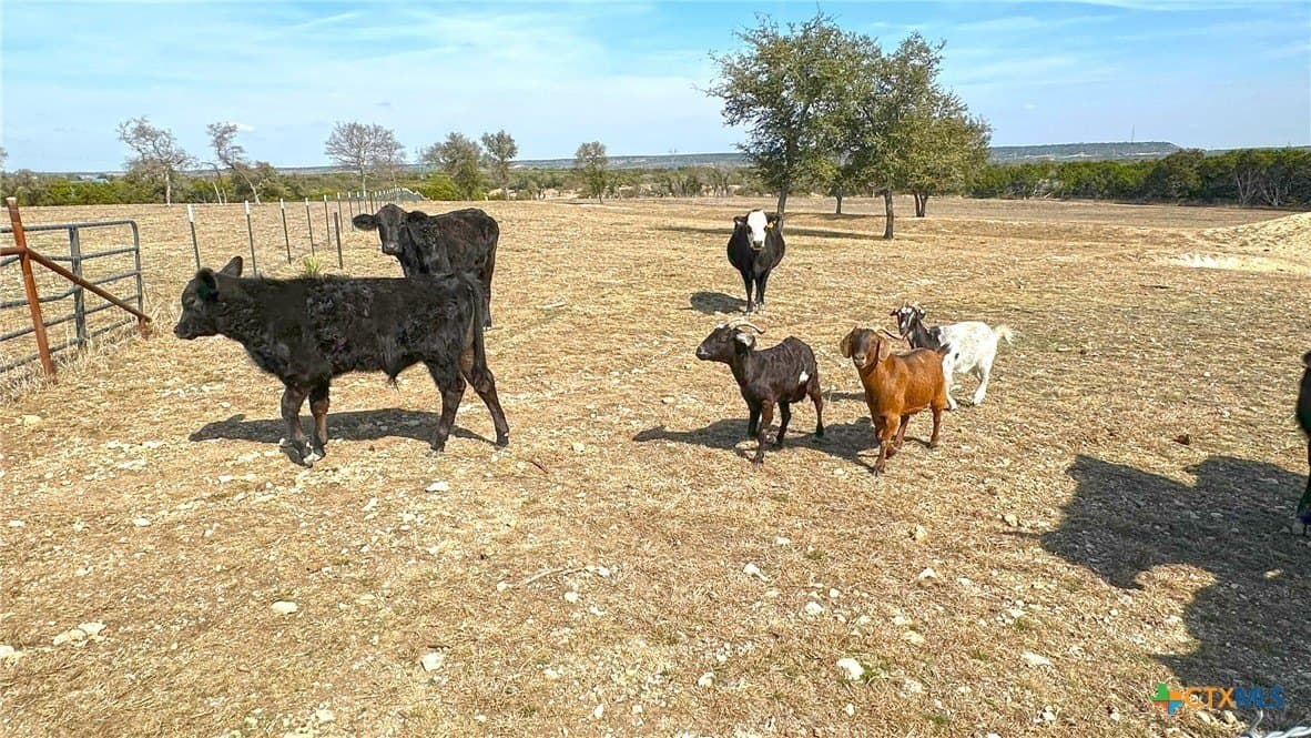 10.01 acres in Bell County - photo 16