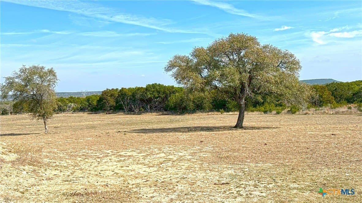 10.01 acres in Bell County - photo 10