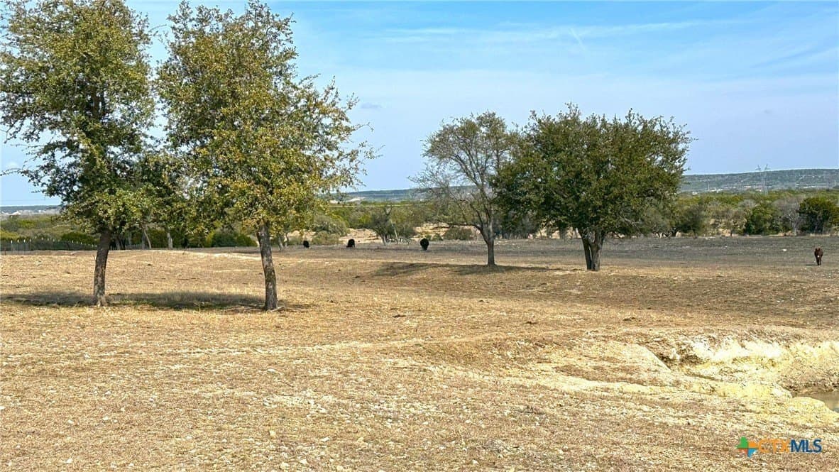 10.01 acres in Bell County - photo 14