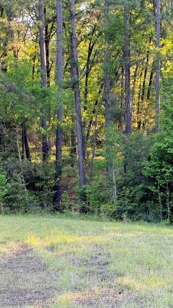0.59 acres in Texas County featured view